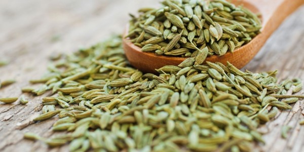 تصویر 5 از خرید و قیمت تخم کتان سفید + فروش صادراتی
